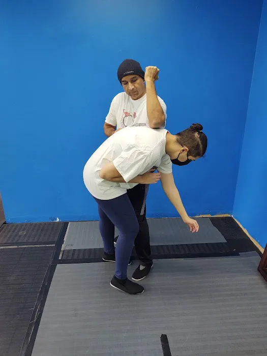 Palatine Wing Tsun Kung Fu Academy Picture 1