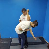 Palatine Wing Tsun Kung Fu Academy ico