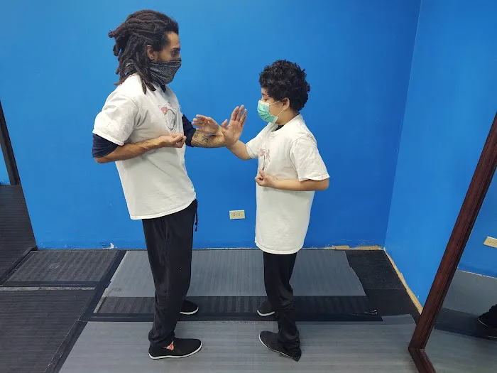 Palatine Wing Tsun Kung Fu Academy Picture 8