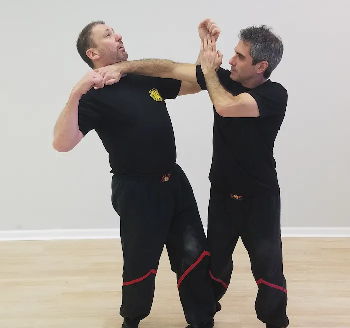 Palatine Wing Tsun Kung Fu Academy Picture 10