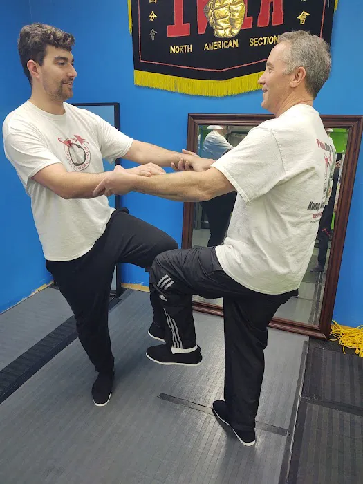 Palatine Wing Tsun Kung Fu Academy Picture 9