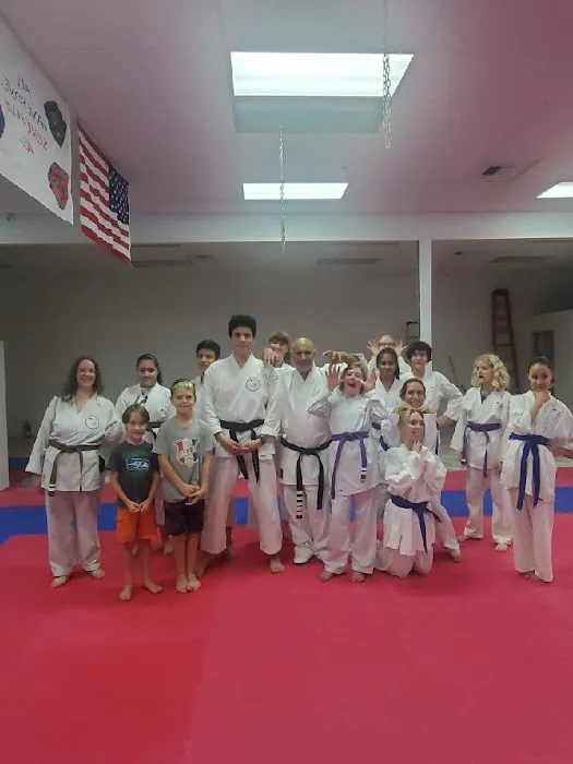Aspire Karate Picture 1