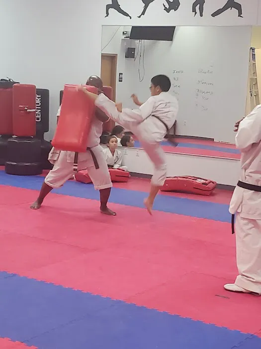 Aspire Karate Picture 4