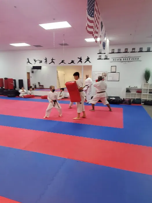 Aspire Karate Picture 7