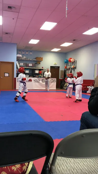 Aspire Karate Picture 6