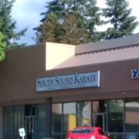 South Sound Karate ico