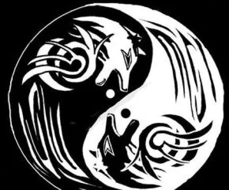 Grey Wolf Defense Systems and Martial Arts