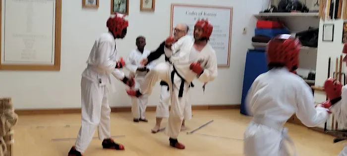 Traditional Okinawan Karate Picture 1