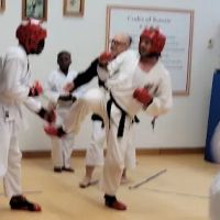 Traditional Okinawan Karate ico