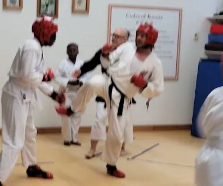 Traditional Okinawan Karate