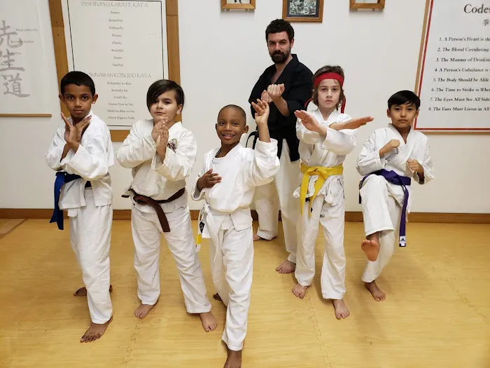 Traditional Okinawan Karate Picture 7