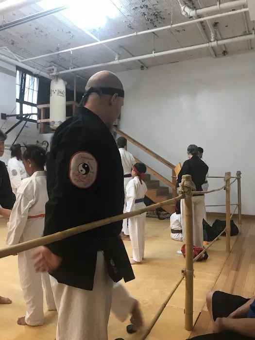 Traditional Okinawan Karate Picture 9