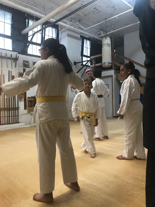 Traditional Okinawan Karate Picture 8