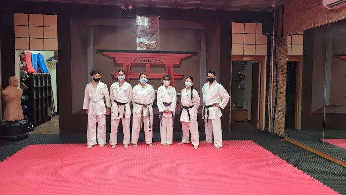 Goshin Ryu Martial Arts & Fitness Picture 9