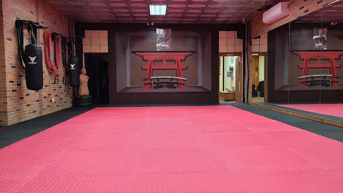 Goshin Ryu Martial Arts & Fitness Picture 10