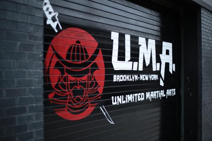 Unlimited Martial Arts NYC Picture 1
