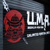 Unlimited Martial Arts NYC ico
