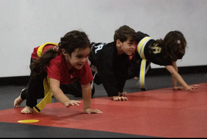 Unlimited Martial Arts NYC Picture 3