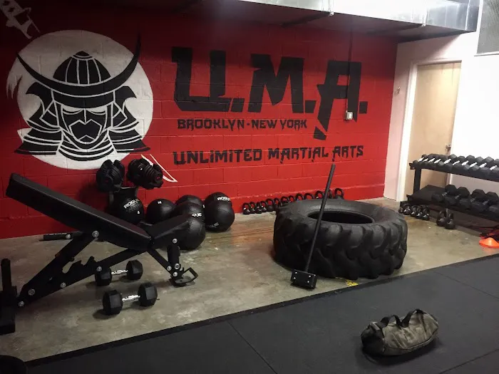 Unlimited Martial Arts NYC Picture 2