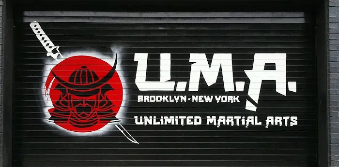 Unlimited Martial Arts NYC Picture 8