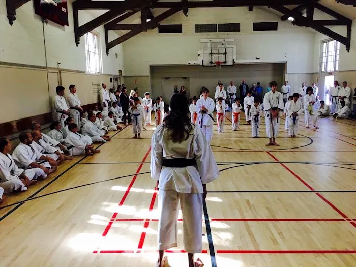 Beyond Karate Picture 3