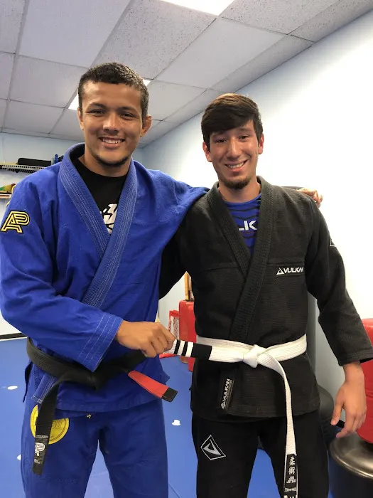TMD House - Infight Brazilian Jiu-Jitsu Picture 8