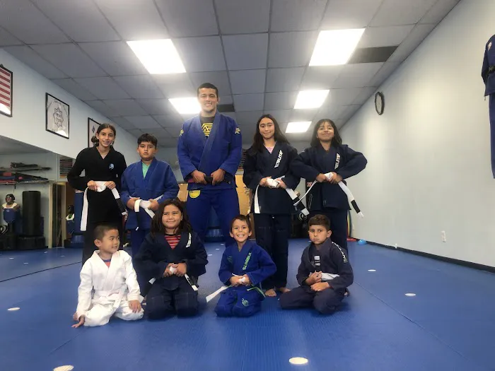 TMD House - Infight Brazilian Jiu-Jitsu Picture 7