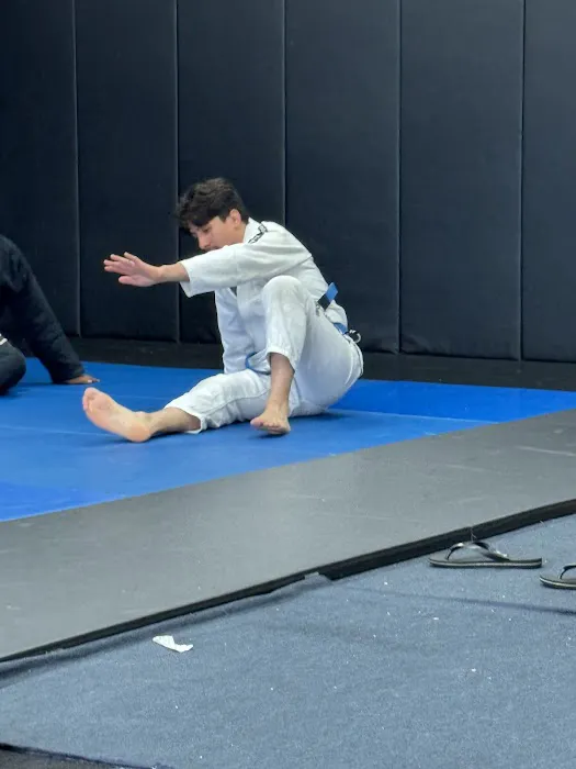 TMD House - Infight Brazilian Jiu-Jitsu Picture 9