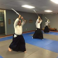 Northeast Aikido ico