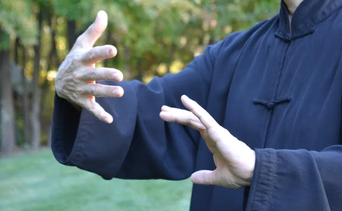 East Wind Tai Chi Picture 1