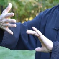 East Wind Tai Chi ico