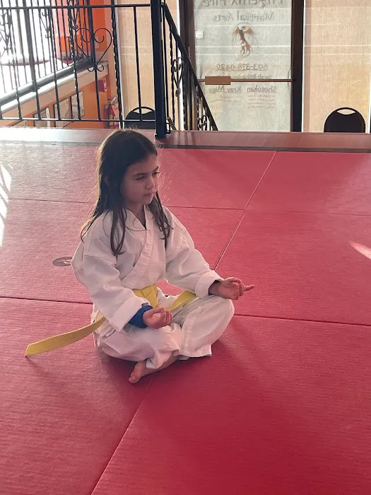 Phoenix Fire Martial Arts Picture 3