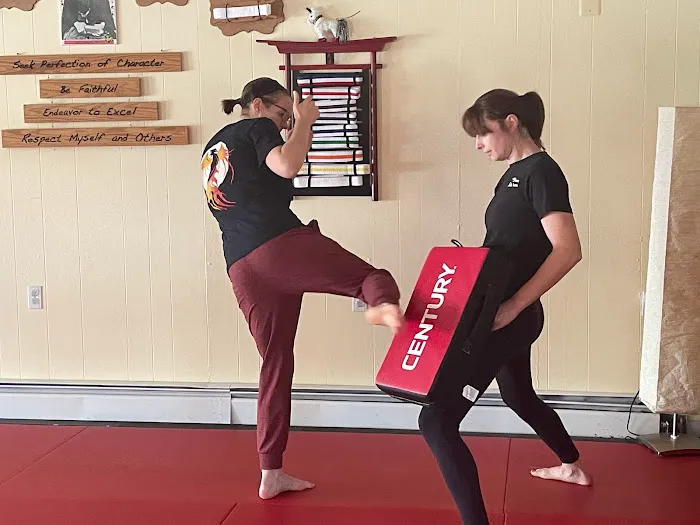 Phoenix Fire Martial Arts Picture 6