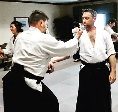 Living Well Aikido Picture 3