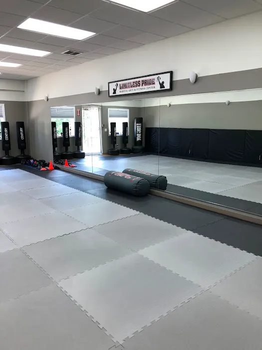 Limitless Pride Martial Arts and Fitness Center LLC Picture 1