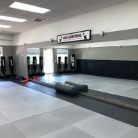 Limitless Pride Martial Arts and Fitness Center LLC ico