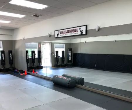 Limitless Pride Martial Arts and Fitness Center LLC
