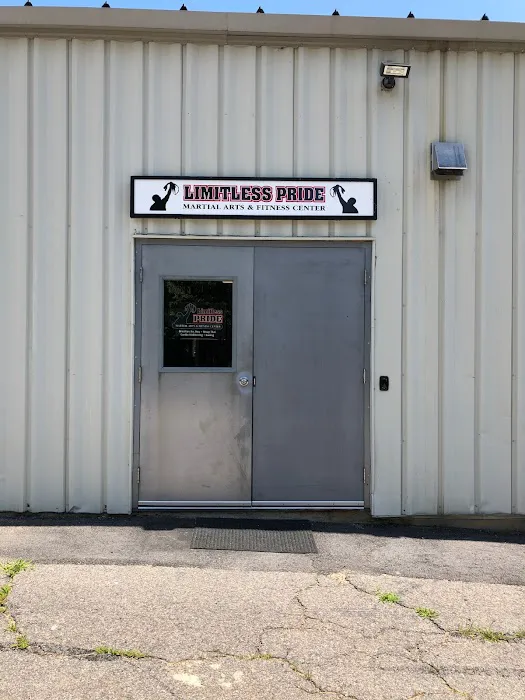 Limitless Pride Martial Arts and Fitness Center LLC Picture 4