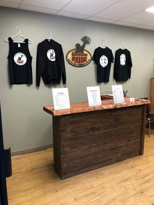 Limitless Pride Martial Arts and Fitness Center LLC Picture 5