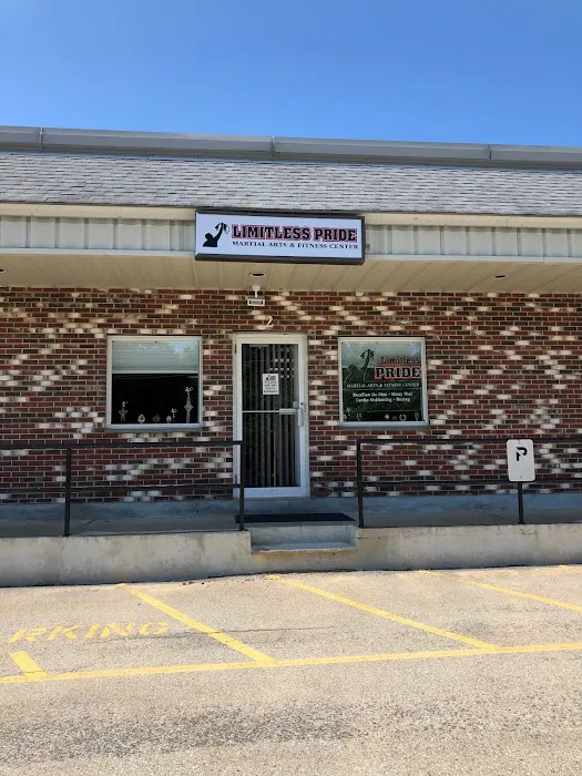 Limitless Pride Martial Arts and Fitness Center LLC Picture 6