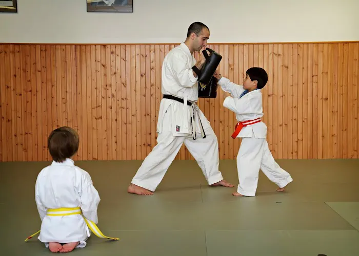 Atlantic Karate Training Center Picture 6