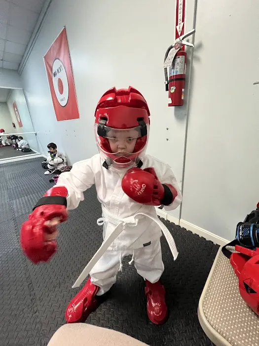 Ninja Nick's Karate Picture 1