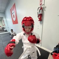 Ninja Nick's Karate ico