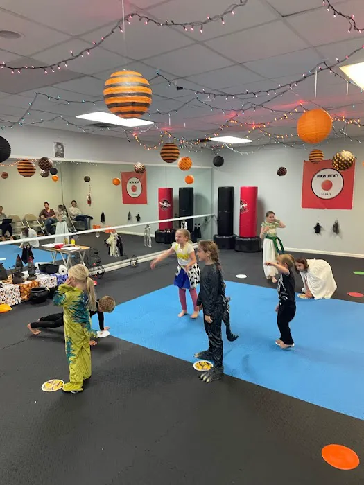 Ninja Nick's Karate Picture 2