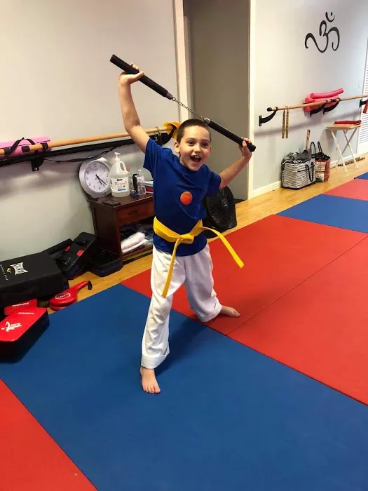 Ninja Nick's Karate Picture 4