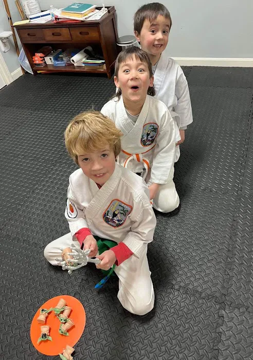 Ninja Nick's Karate Picture 5