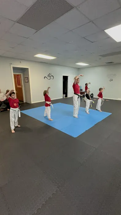 Ninja Nick's Karate Picture 6
