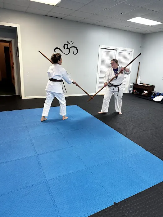 Ninja Nick's Karate Picture 8