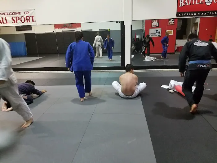 Battle Control MMA Picture 5