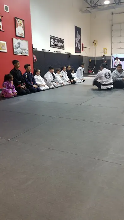 Battle Control MMA Picture 9